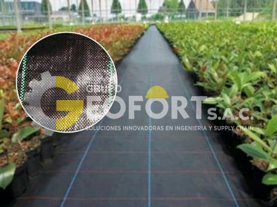 ground-cover-1